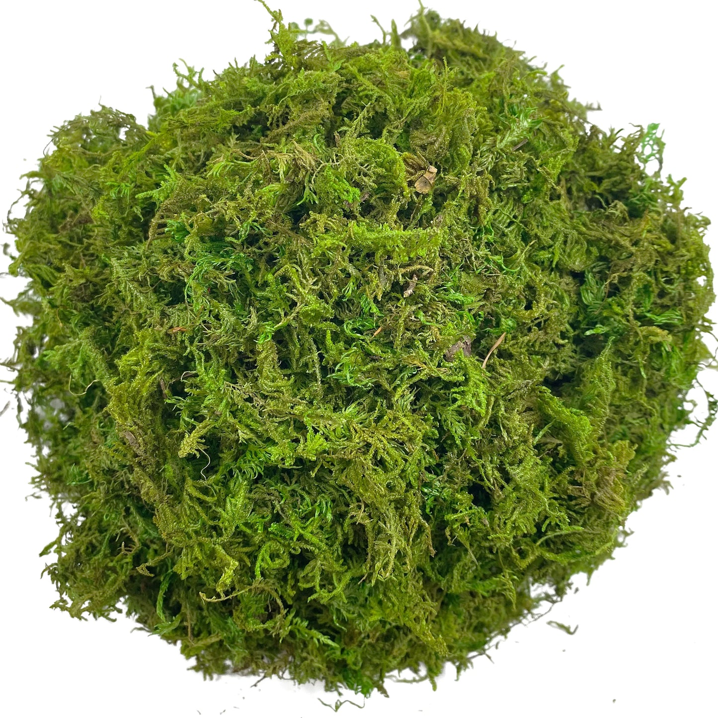 Artificial Moss Green for Potted Plant Orchid Potting Mix Peat Moss Pole Craft